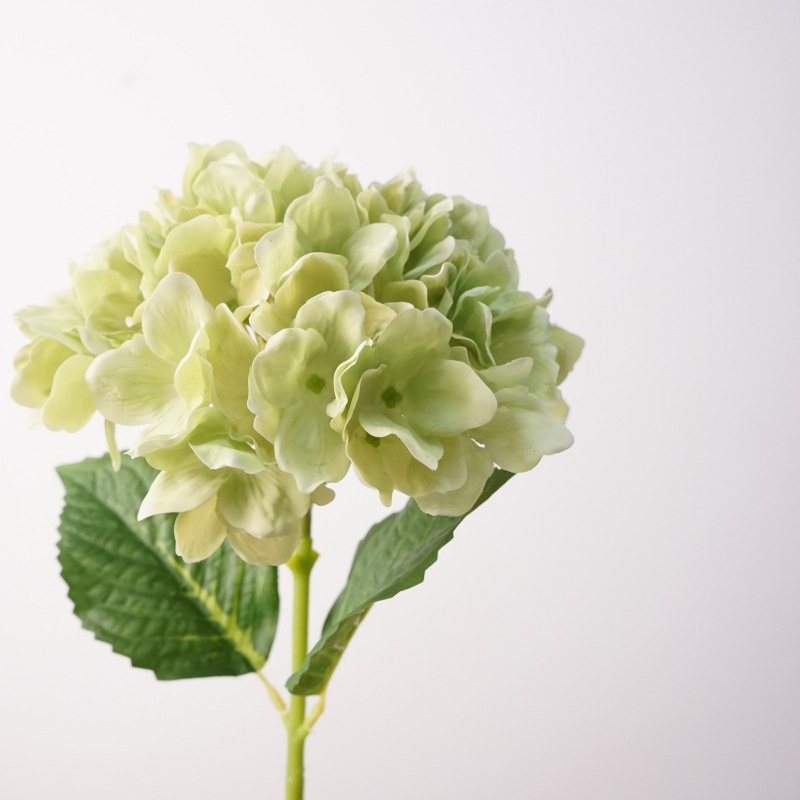 Soft-touch Hydrangea flowers