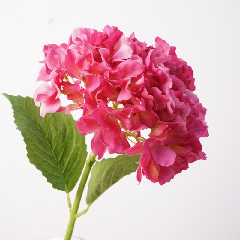 Soft-touch Hydrangea flowers