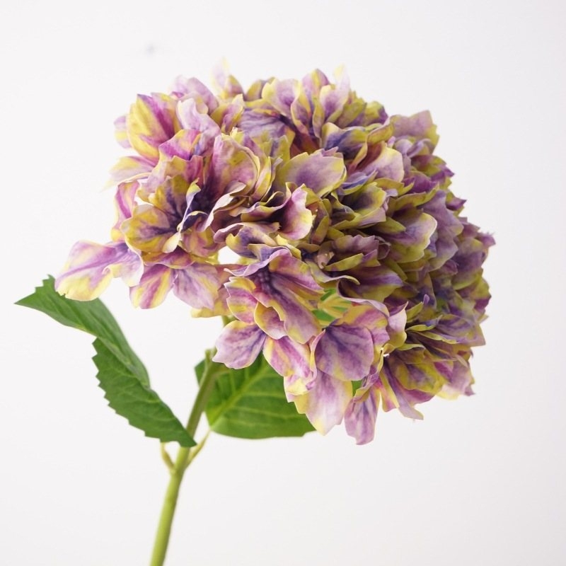 Soft-touch Hydrangea flowers