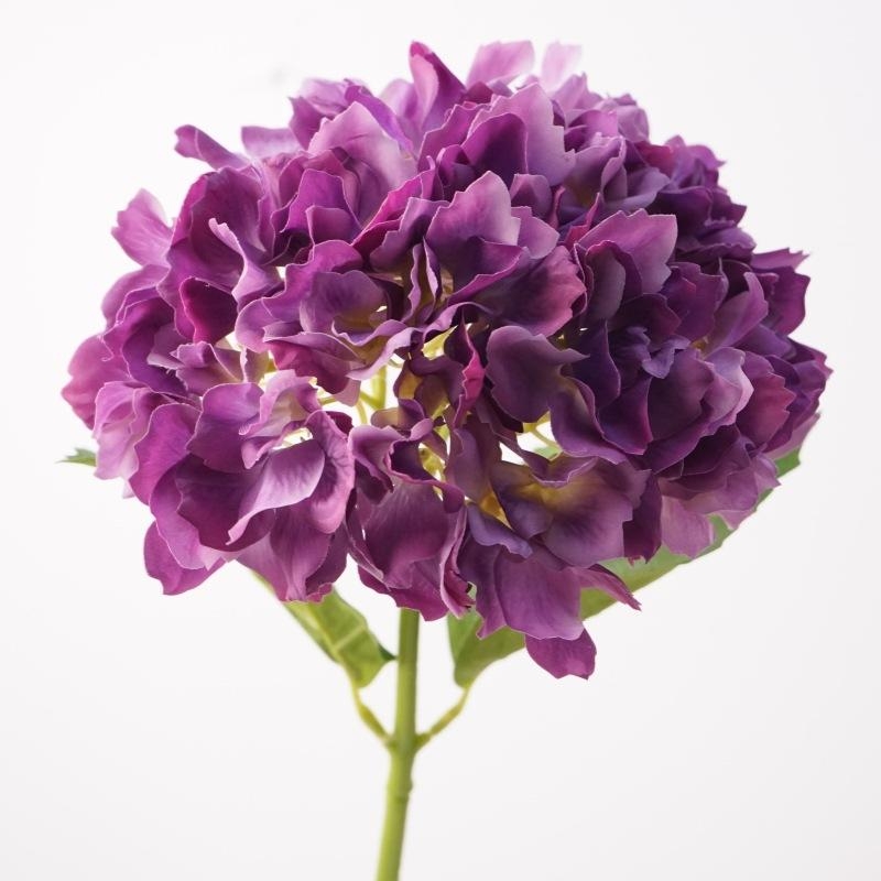 Soft-touch Hydrangea flowers