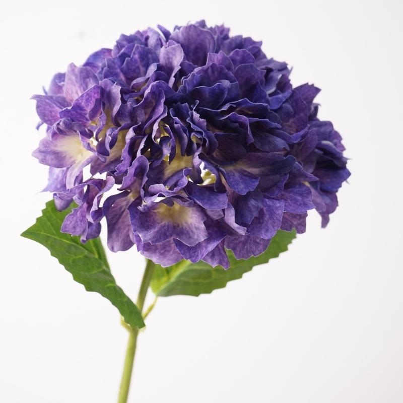 Soft-touch Hydrangea flowers