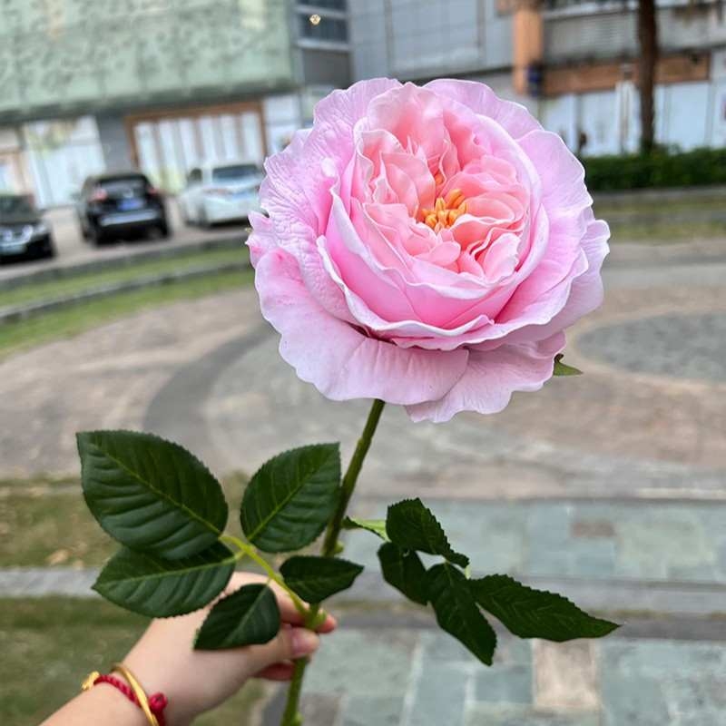 Wholesale of artificial single roses with a soft feel