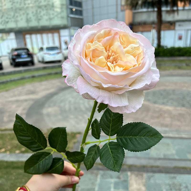 Wholesale of artificial single roses with a soft feel