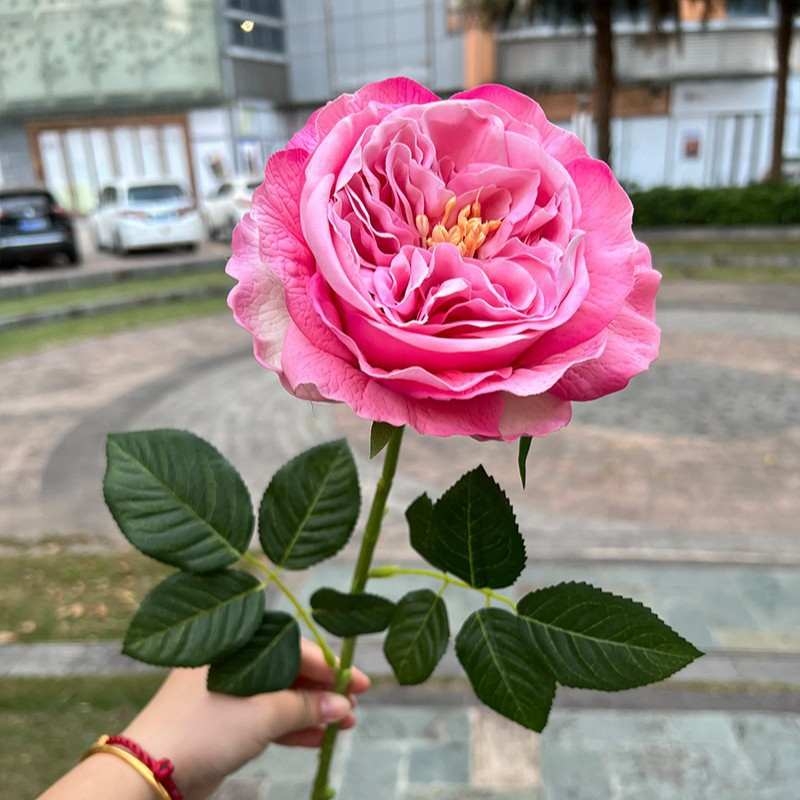 Wholesale of artificial single roses with a soft feel
