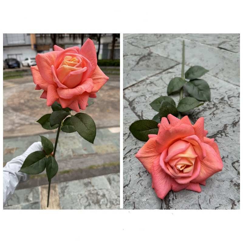 Soft-touch rose with curled edge