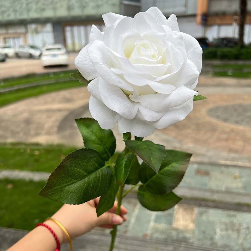 High-end soft-touch roses