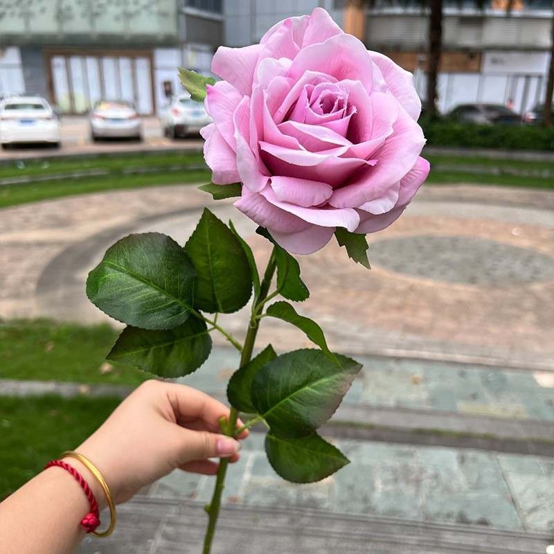 High-end soft-touch roses