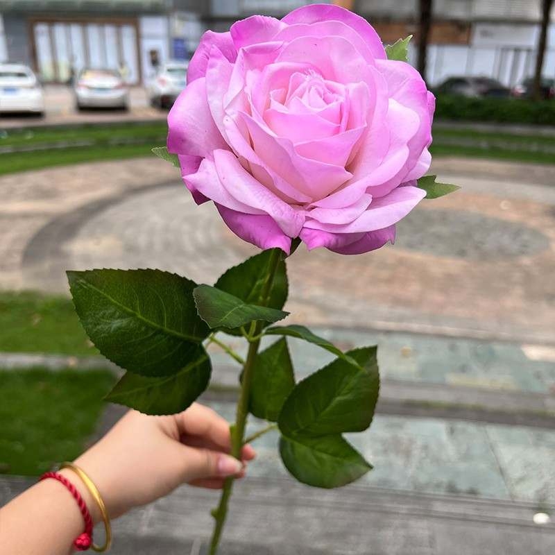 High-end soft-touch roses