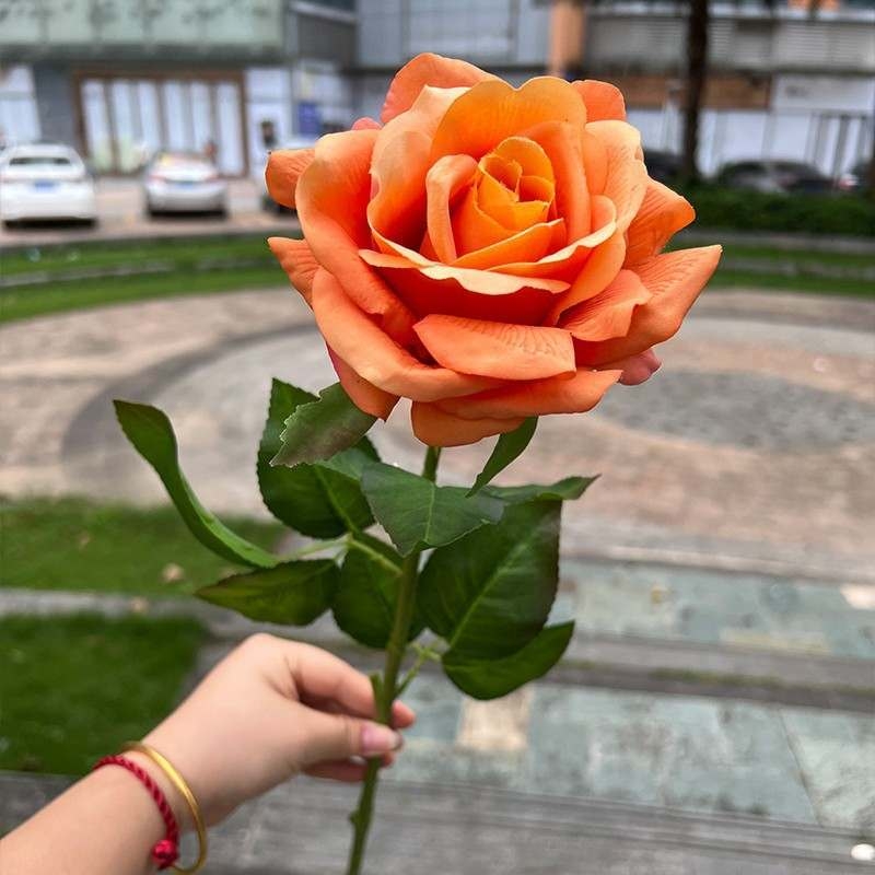 High-end soft-touch roses