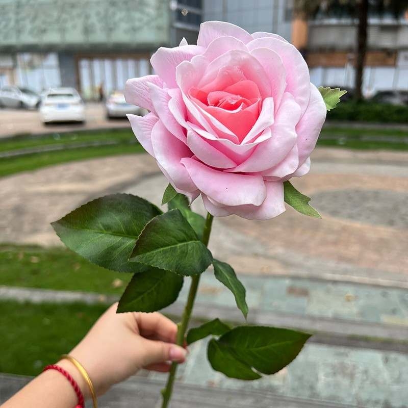 High-end soft-touch roses