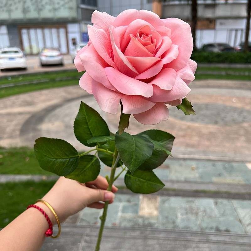 High-end soft-touch roses