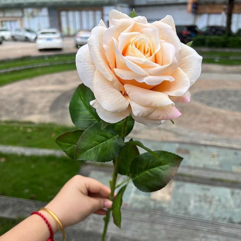 High-end soft-touch roses