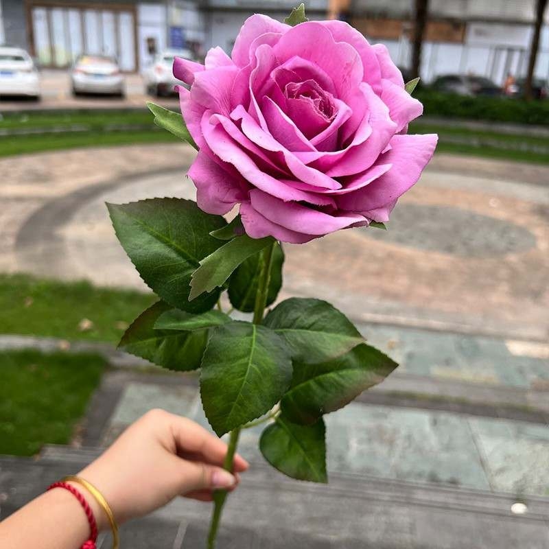 High-end soft-touch roses