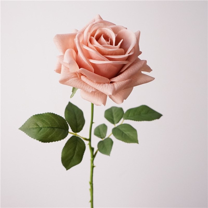 Wholesale soft-touch multi-colored roses