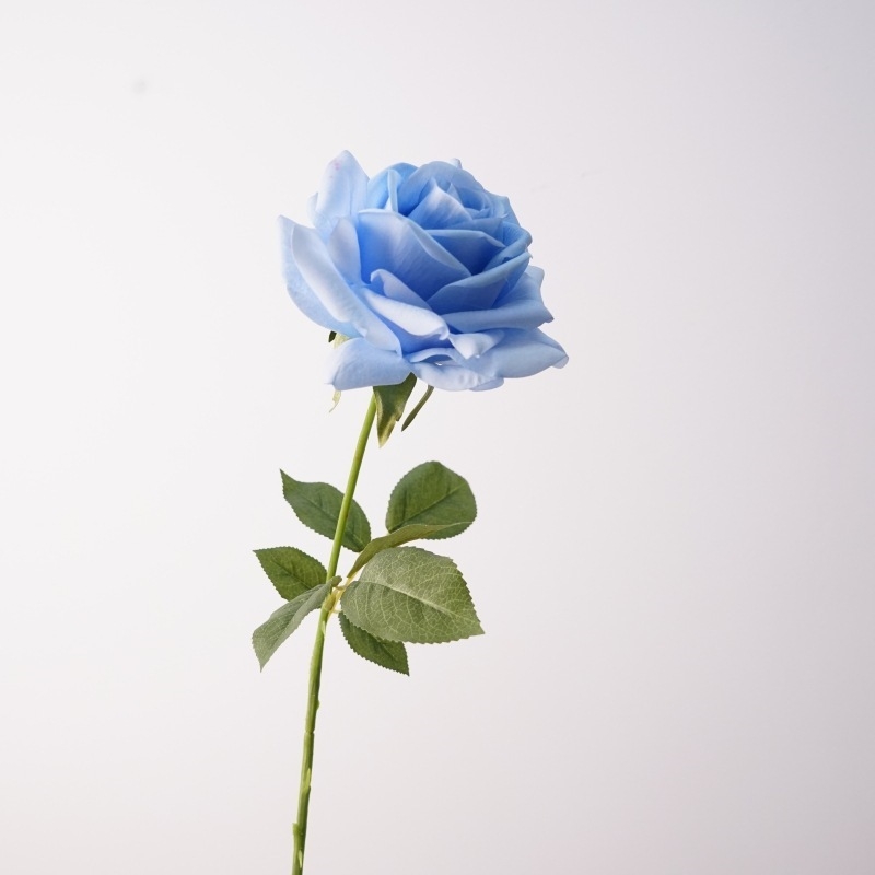 Wholesale soft-touch multi-colored roses