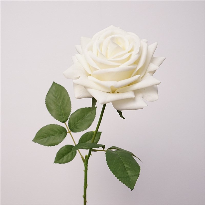 Wholesale soft-touch multi-colored roses