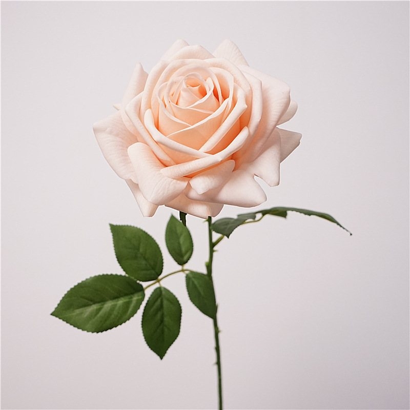Wholesale soft-touch multi-colored roses
