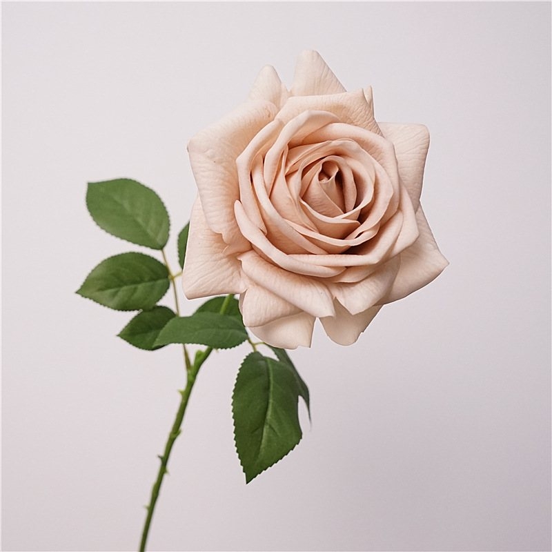 Wholesale soft-touch multi-colored roses