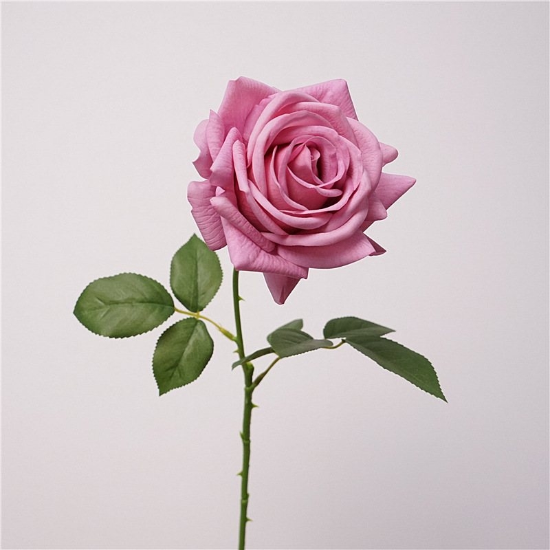 Wholesale soft-touch multi-colored roses