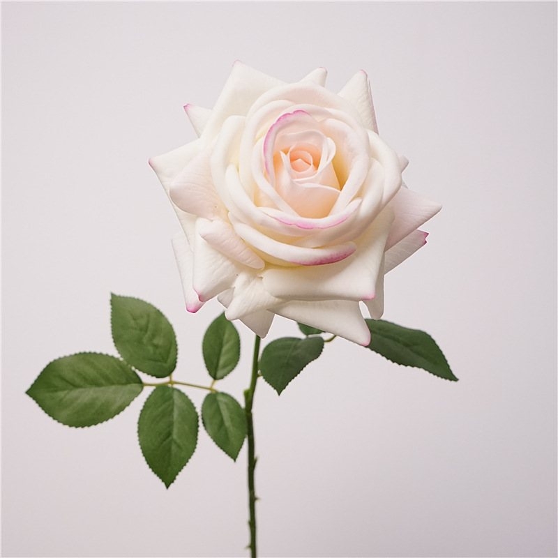 Wholesale soft-touch multi-colored roses