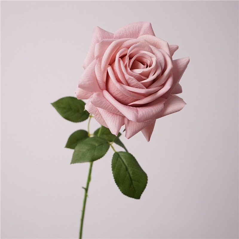 Wholesale soft-touch multi-colored roses