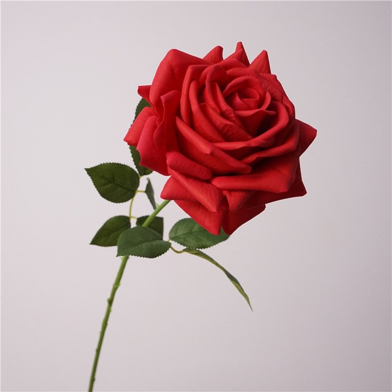 Wholesale soft-touch multi-colored roses