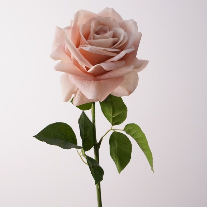 Wholesale roses with a soft feel