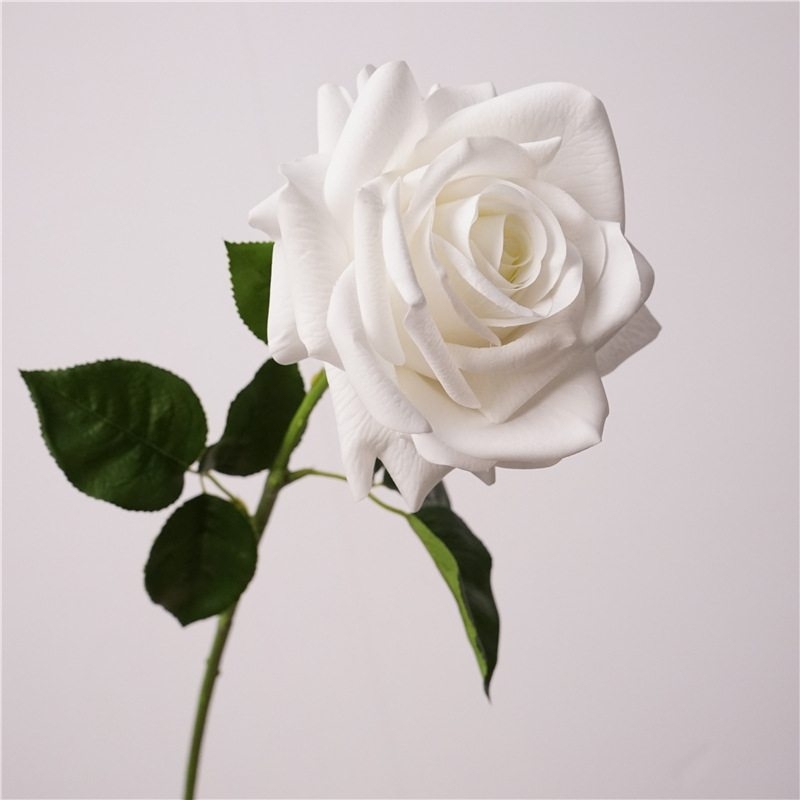 Wholesale roses with a soft feel