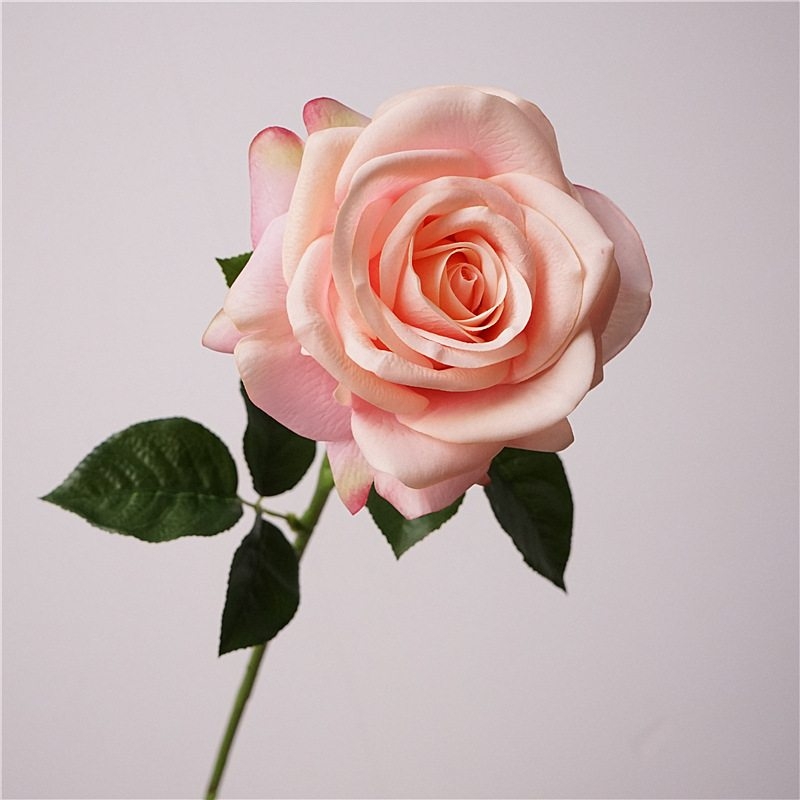 Wholesale roses with a soft feel