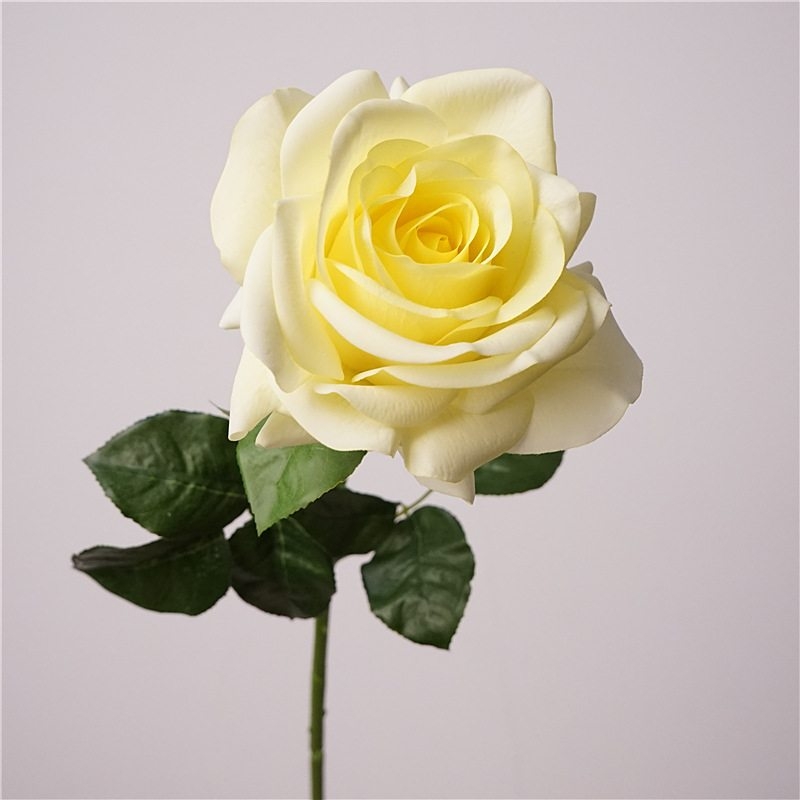 Wholesale roses with a soft feel