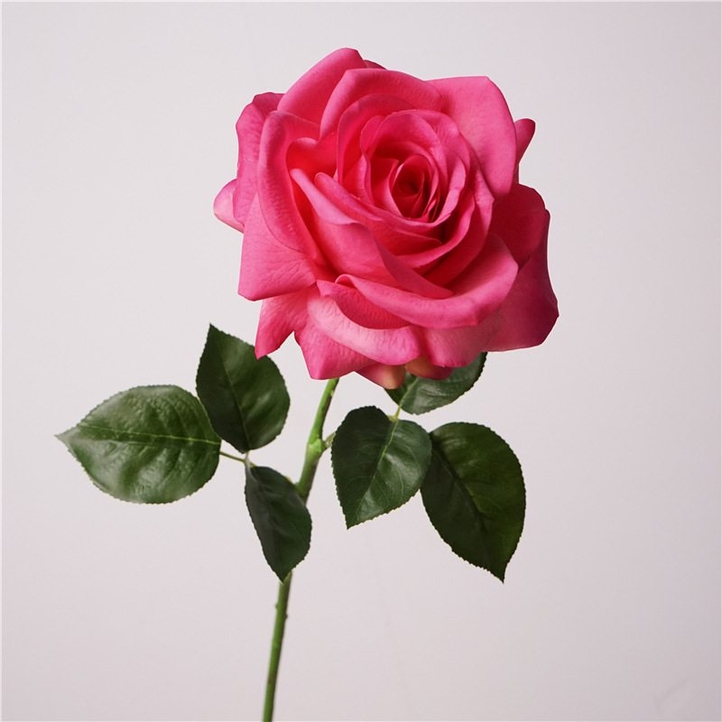 Wholesale roses with a soft feel