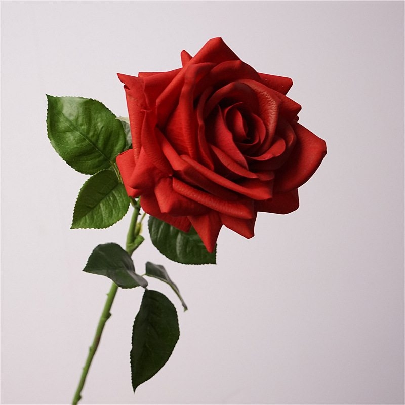 Wholesale roses with a soft feel