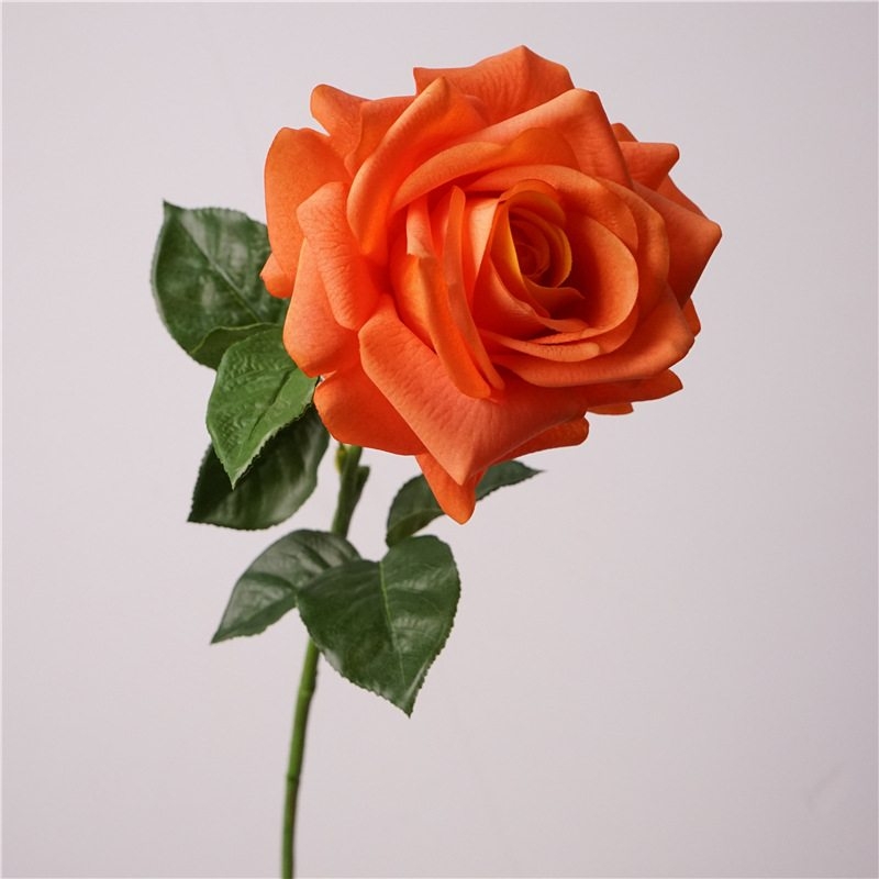 Wholesale roses with a soft feel