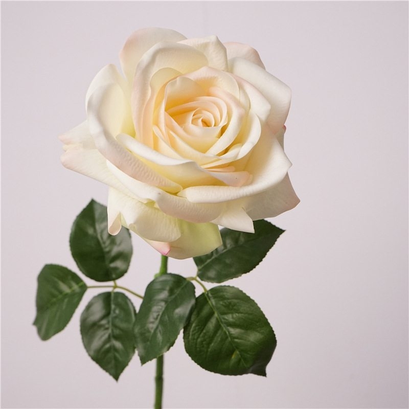 Wholesale roses with a soft feel