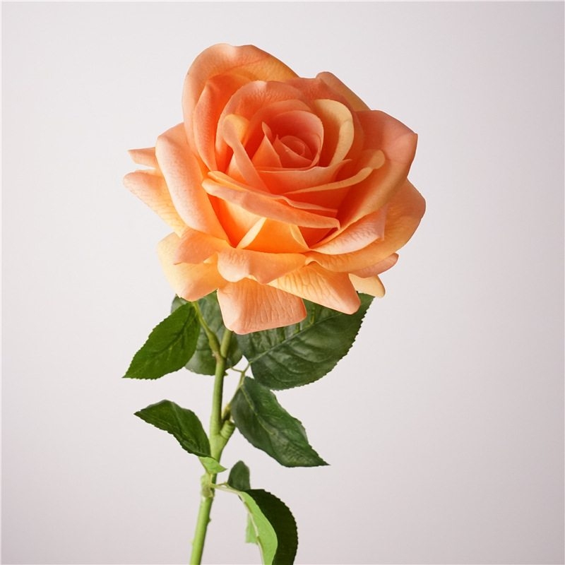 Wholesale roses with a soft feel