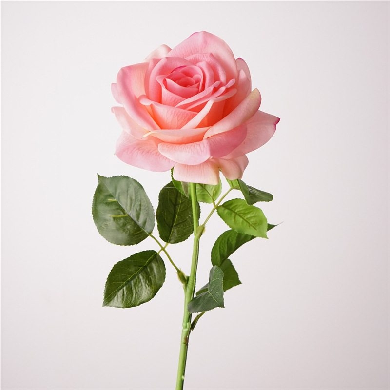 Wholesale roses with a soft feel