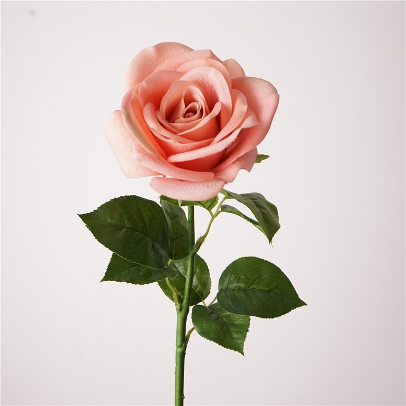 Multi-colored soft-touch rose