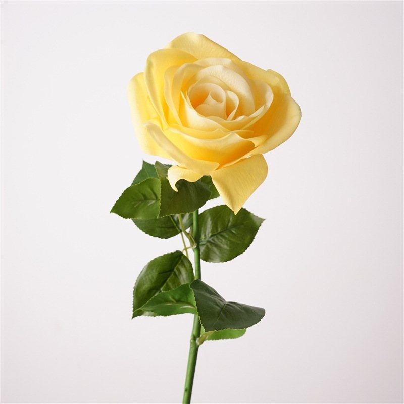 Multi-colored soft-touch rose