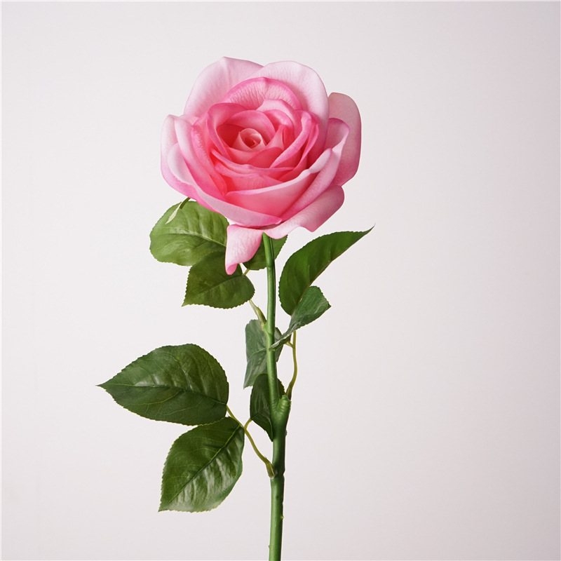 Multi-colored soft-touch rose