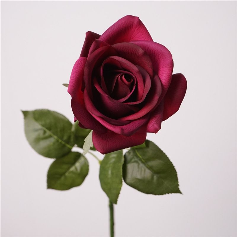 Multi-colored soft-touch rose