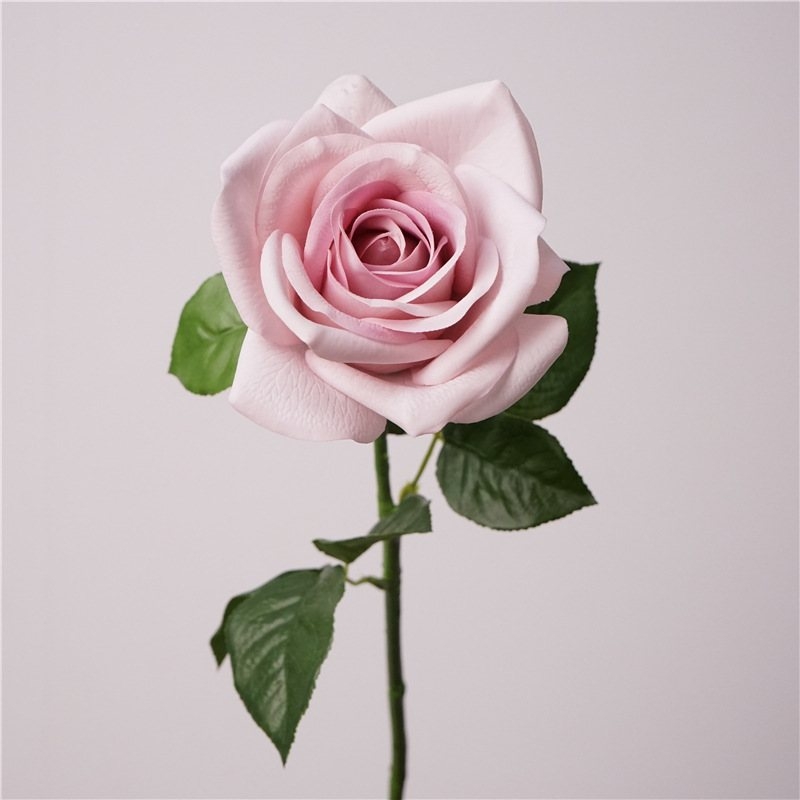 Multi-colored soft-touch rose