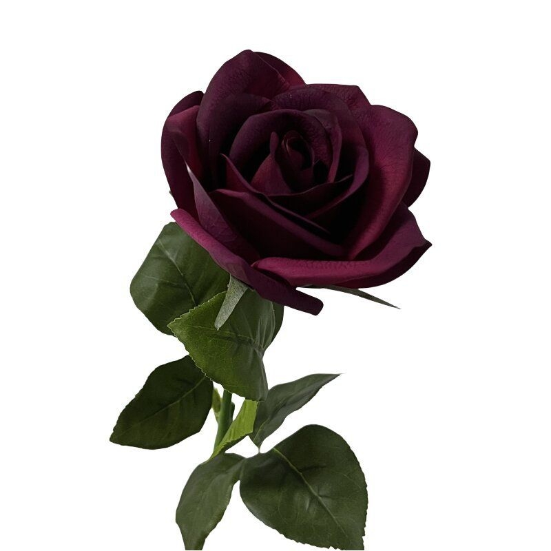 Multi-colored soft-touch rose wholesale