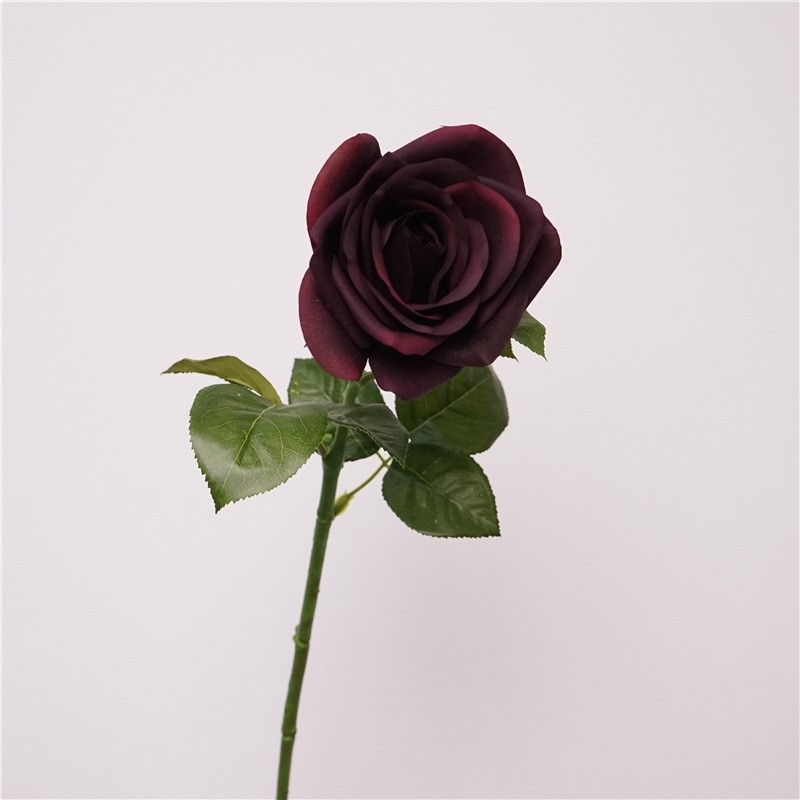 Multi-colored soft-touch rose wholesale