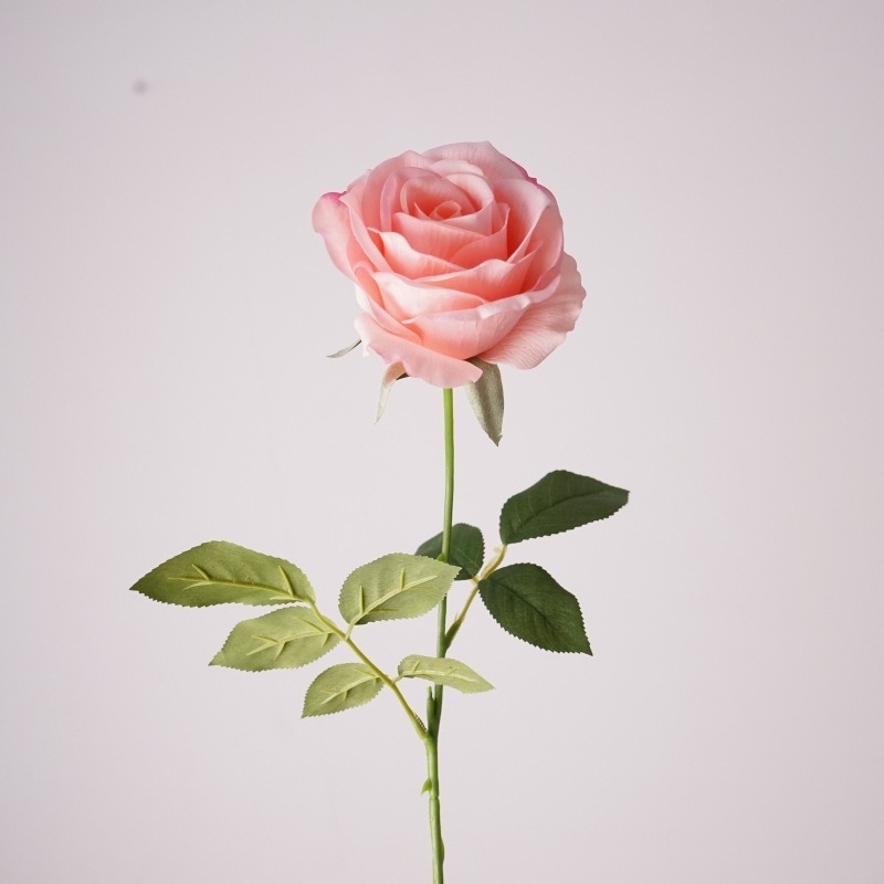 Wholesale Soft-touch Materia Rose
