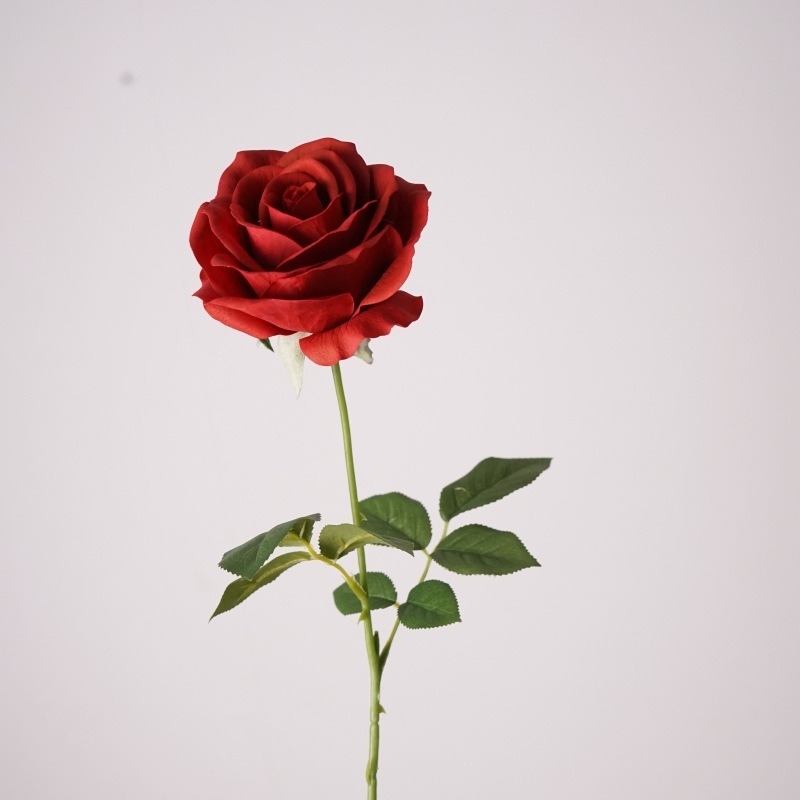 Wholesale Soft-touch Materia Rose
