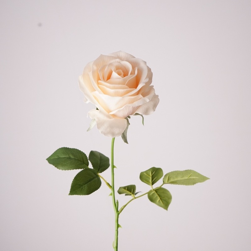 Wholesale Soft-touch Materia Rose