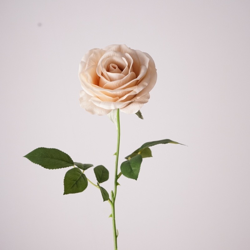 Wholesale Soft-touch Materia Rose