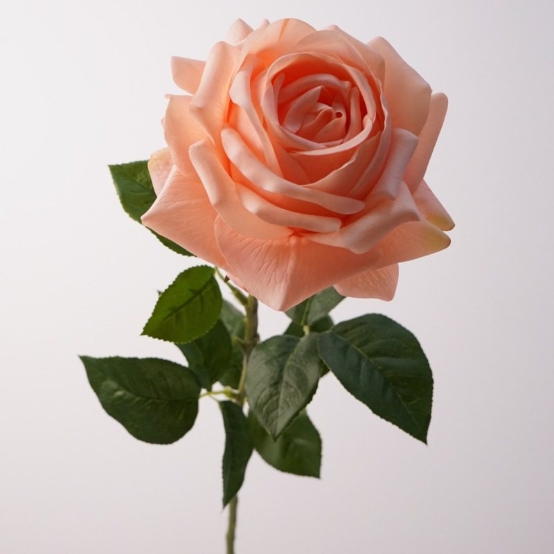 Realistic-feeling soft-touch rose