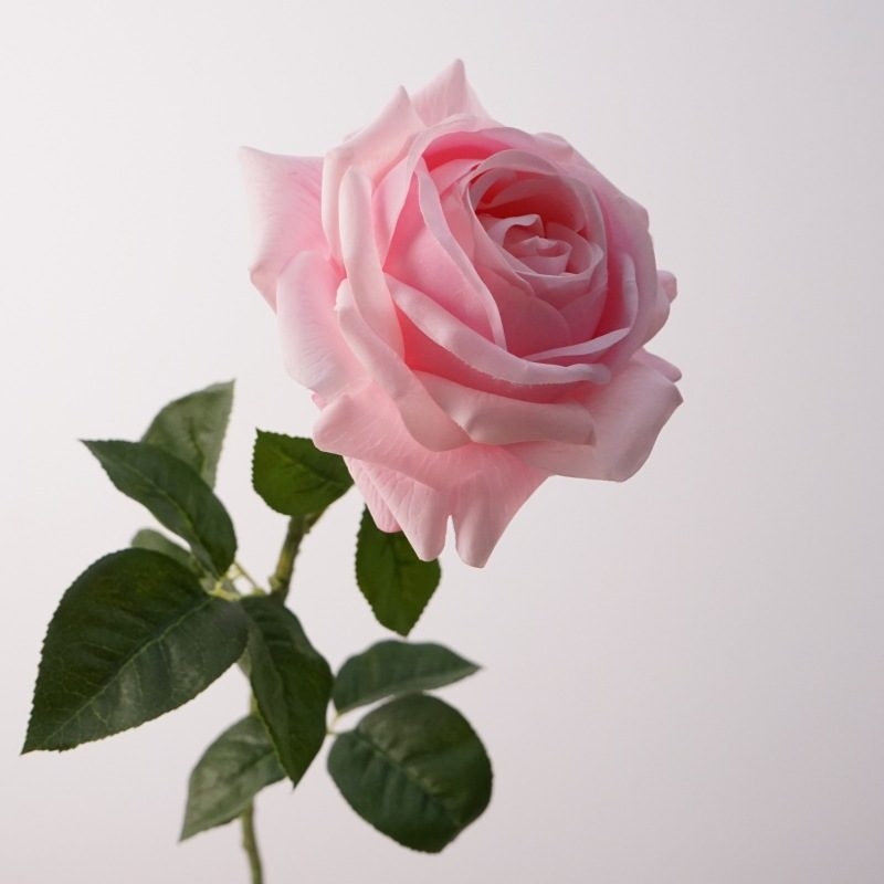 Realistic-feeling soft-touch rose