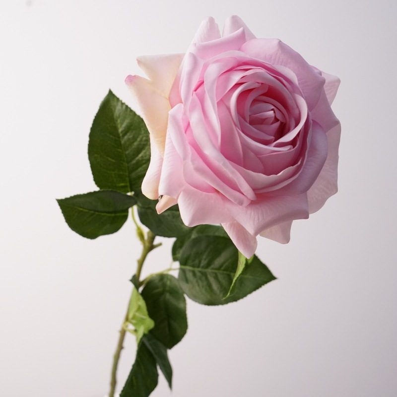 Realistic-feeling soft-touch rose
